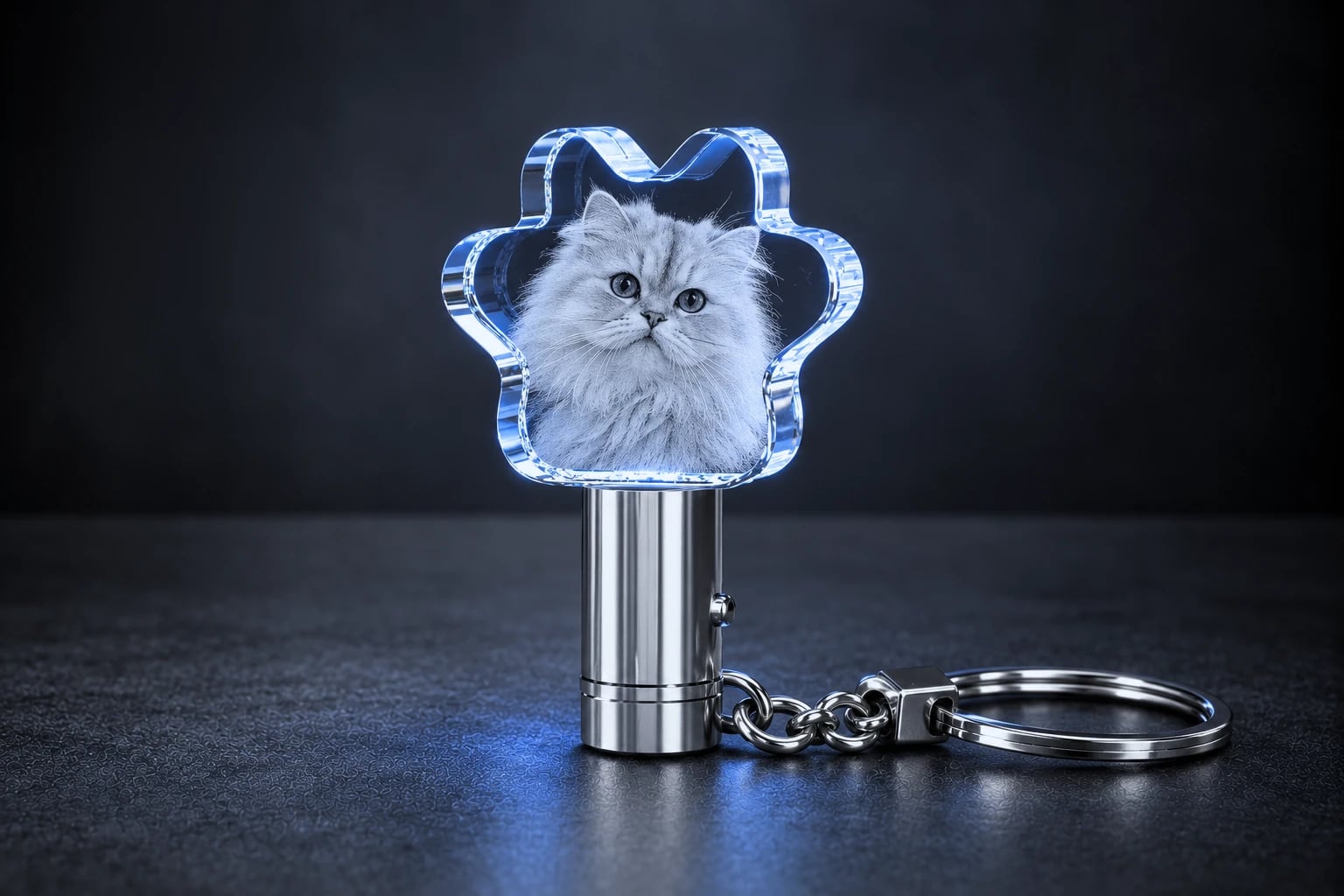 Paw Keychain