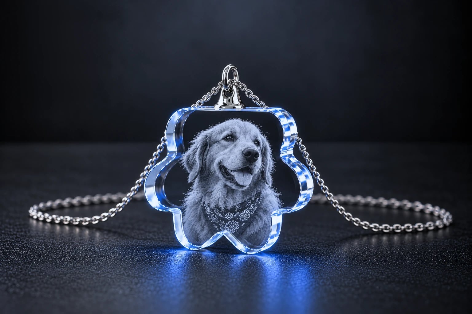 Paw Necklace 3D